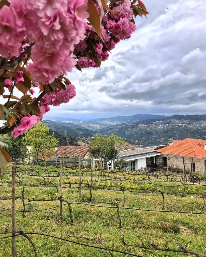 Hotel Vald'Aregos - Douro Resende Zewnętrze zdjęcie