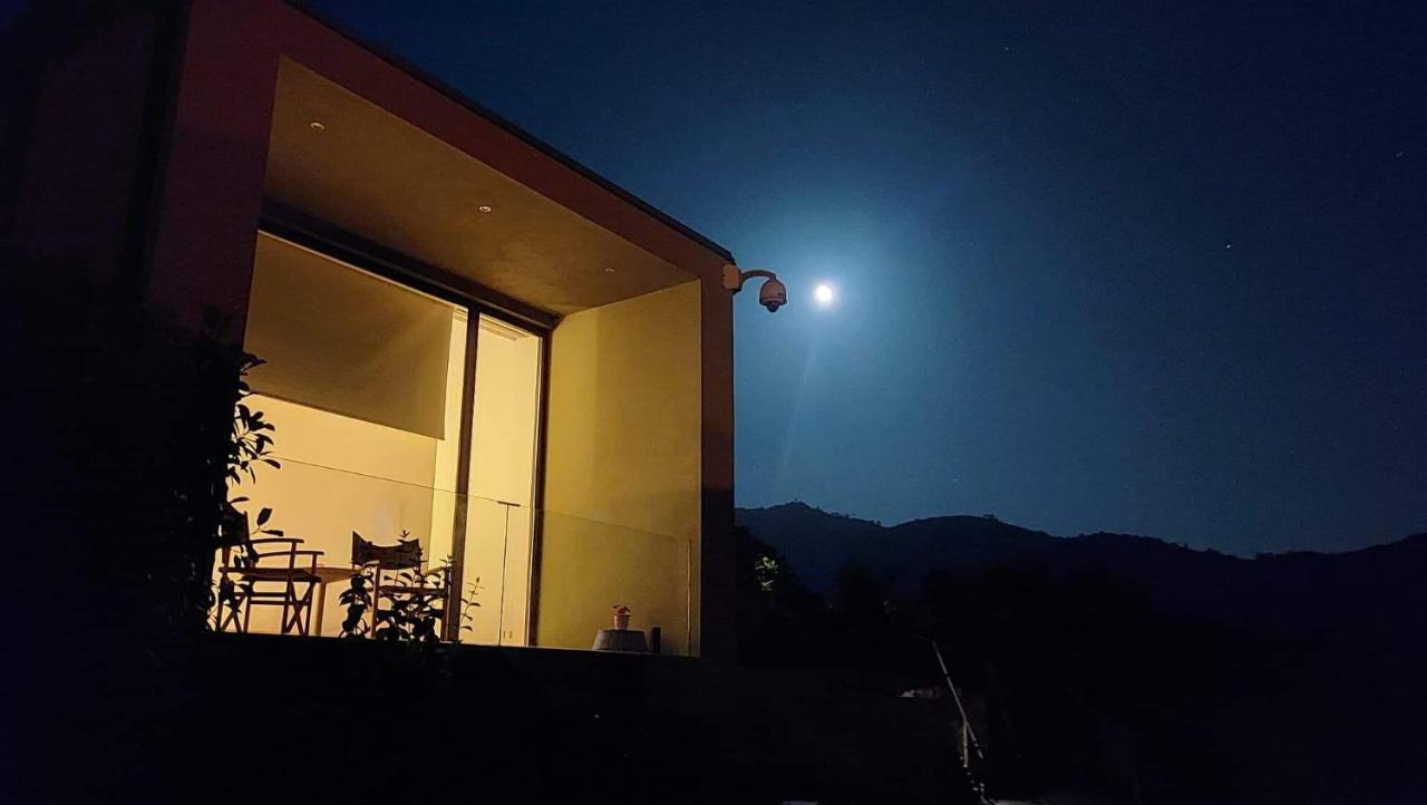Hotel Vald'Aregos - Douro Resende Zewnętrze zdjęcie