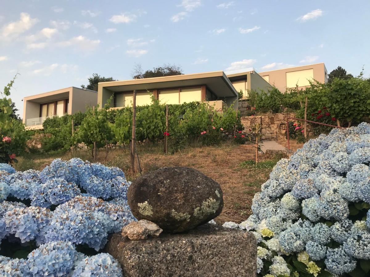 Hotel Vald'Aregos - Douro Resende Zewnętrze zdjęcie