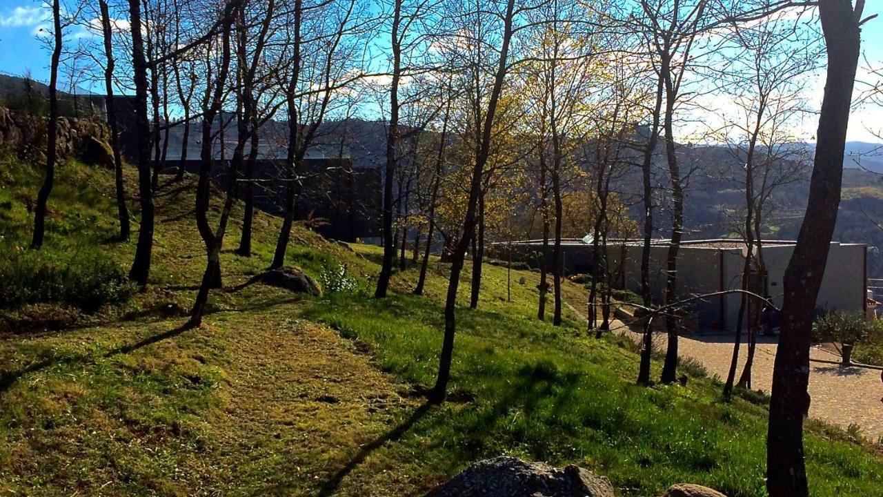 Hotel Vald'Aregos - Douro Resende Zewnętrze zdjęcie